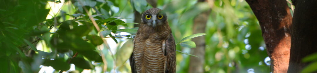 Rock2Sea - What's the Update