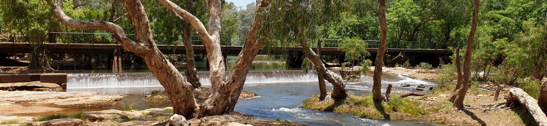 Rock2Sea - What's the Update