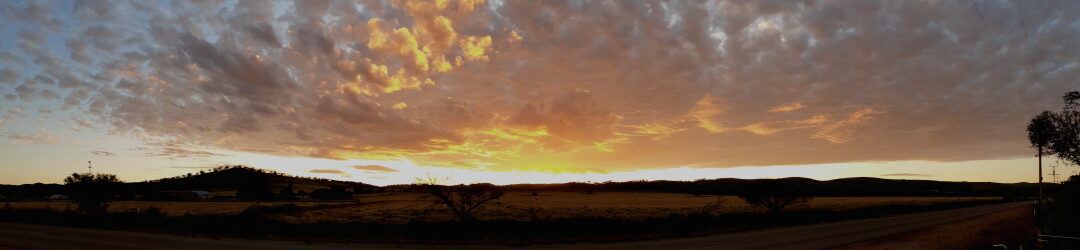 Rock2Sea - What's the Update