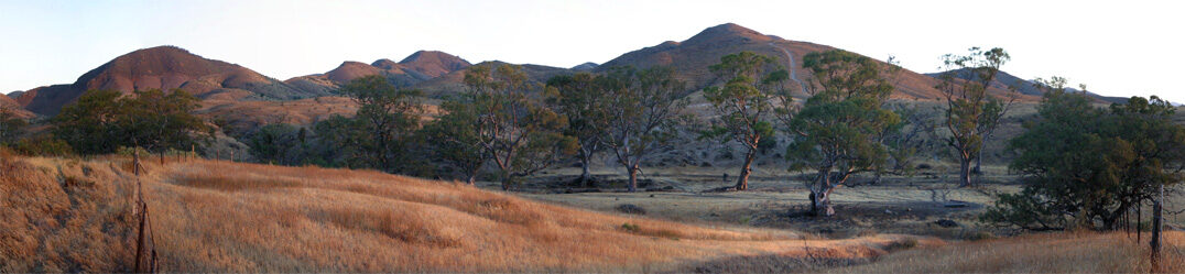 Rock2Sea - What's the Update