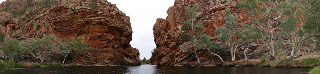 Rock2Sea - What's the Update