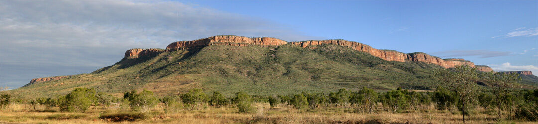 Rock2Sea - What's the Update